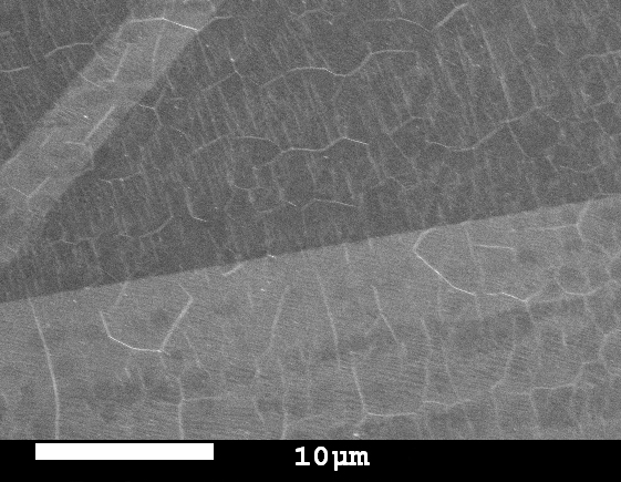 SEM Image of Single Layer Graphene on Copper